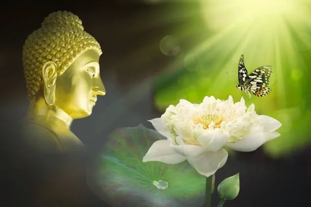 Đức Phật dạy tu Thiền Tông và Công thức Giải Thoát